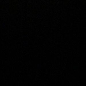 Meet your Posher, Brady